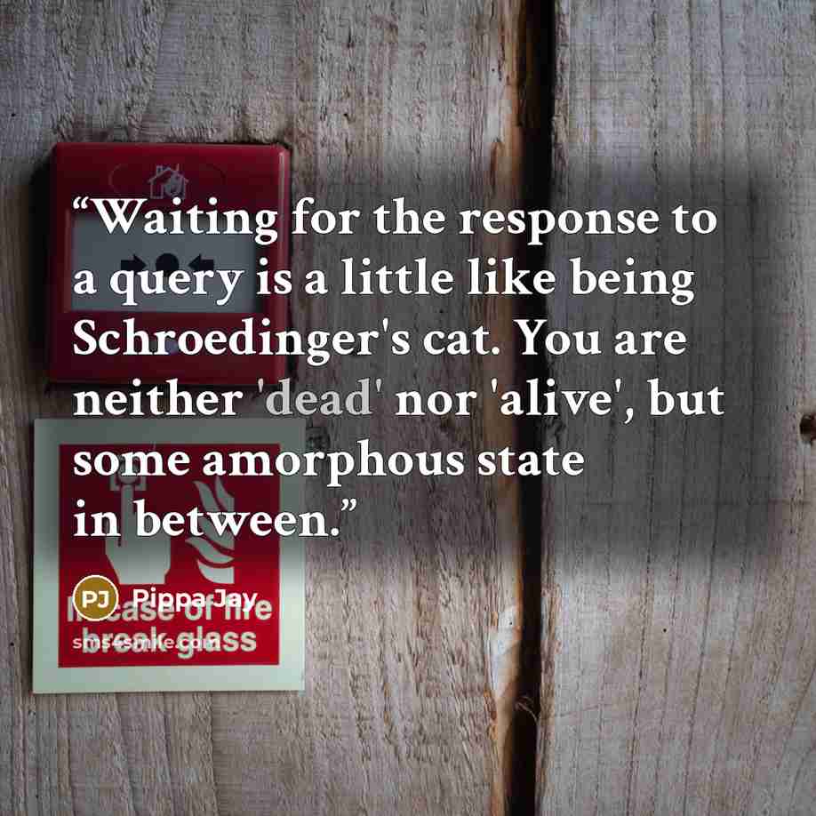 “Waiting for the response to a query is a little like being Schroedinger's cat. You are neither 'dead' nor 'alive', but some amorphous state in between.” quote by Pippa Jay