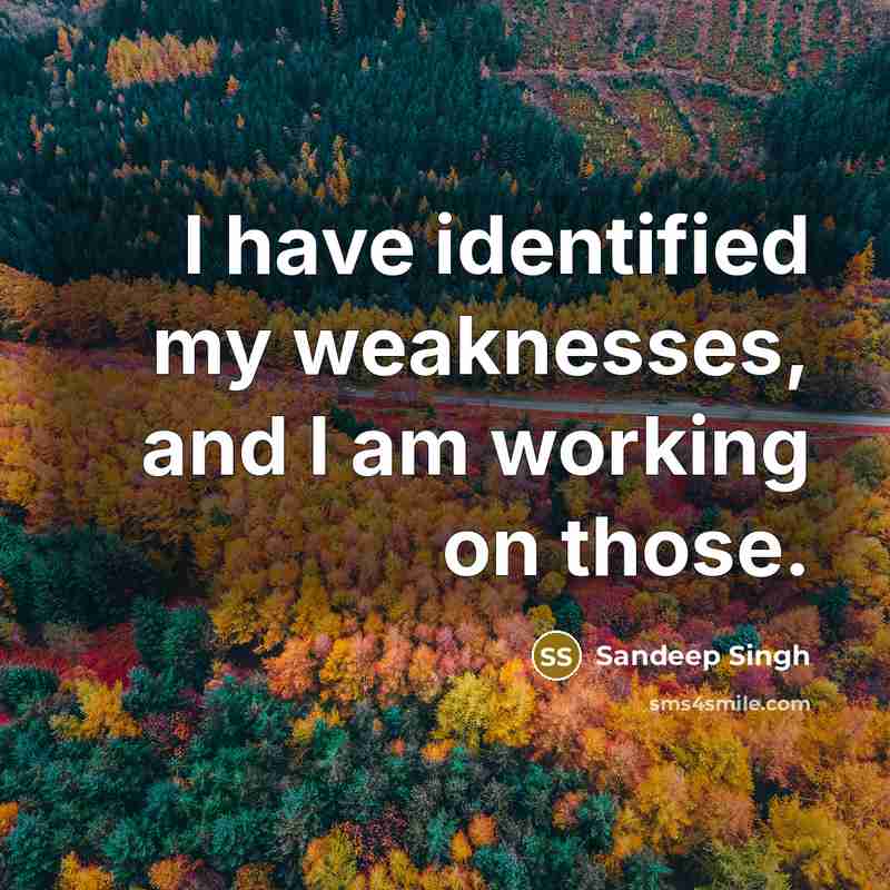 “I have identified my weaknesses, and I am working on…” quote by Sandeep Singh