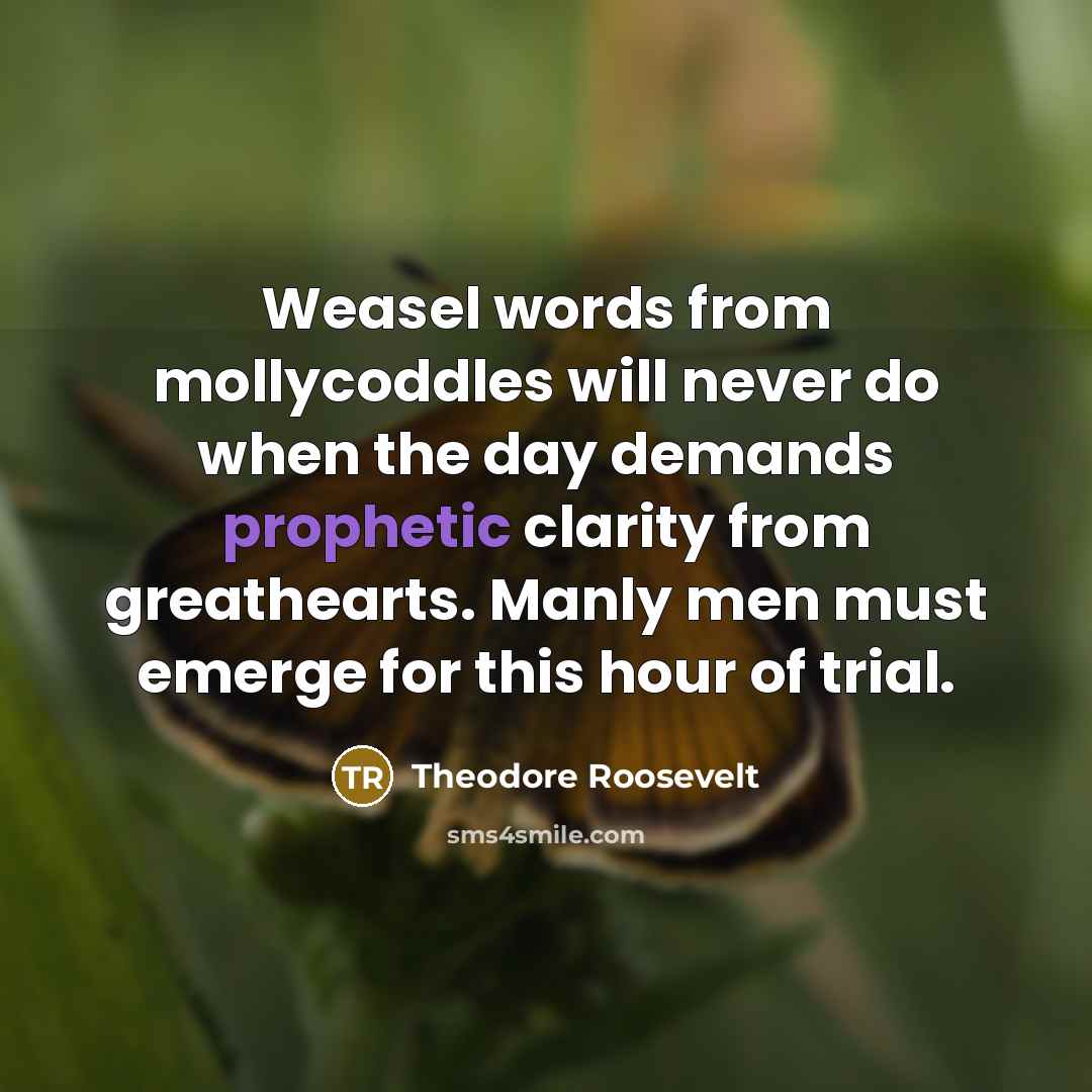 “Weasel words from mollycoddles will never do when the day…” quote by Theodore Roosevelt