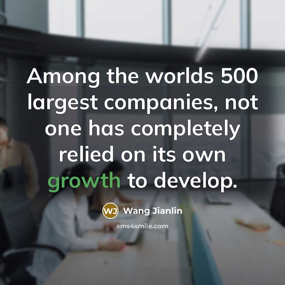 “Among the worlds 500 largest companies, not one has completely…” quote by Wang Jianlin