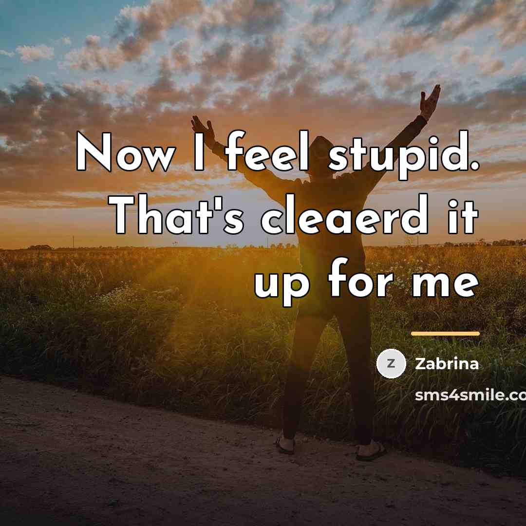 “Now I feel stupid. That's cleaerd it up for me…” quote by Zabrina