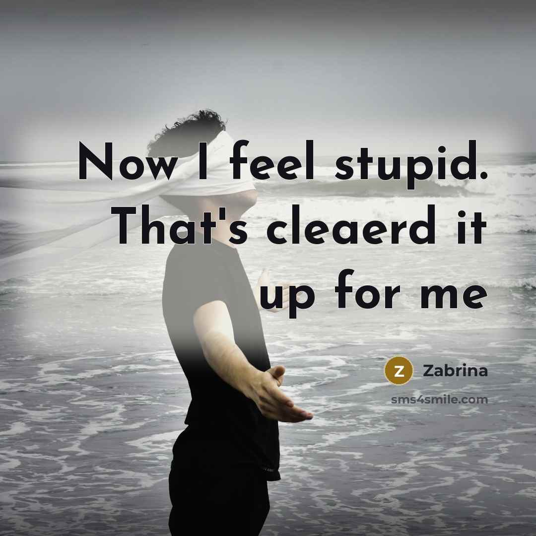 “Now I feel stupid. That's cleaerd it up for me” quote by Zabrina