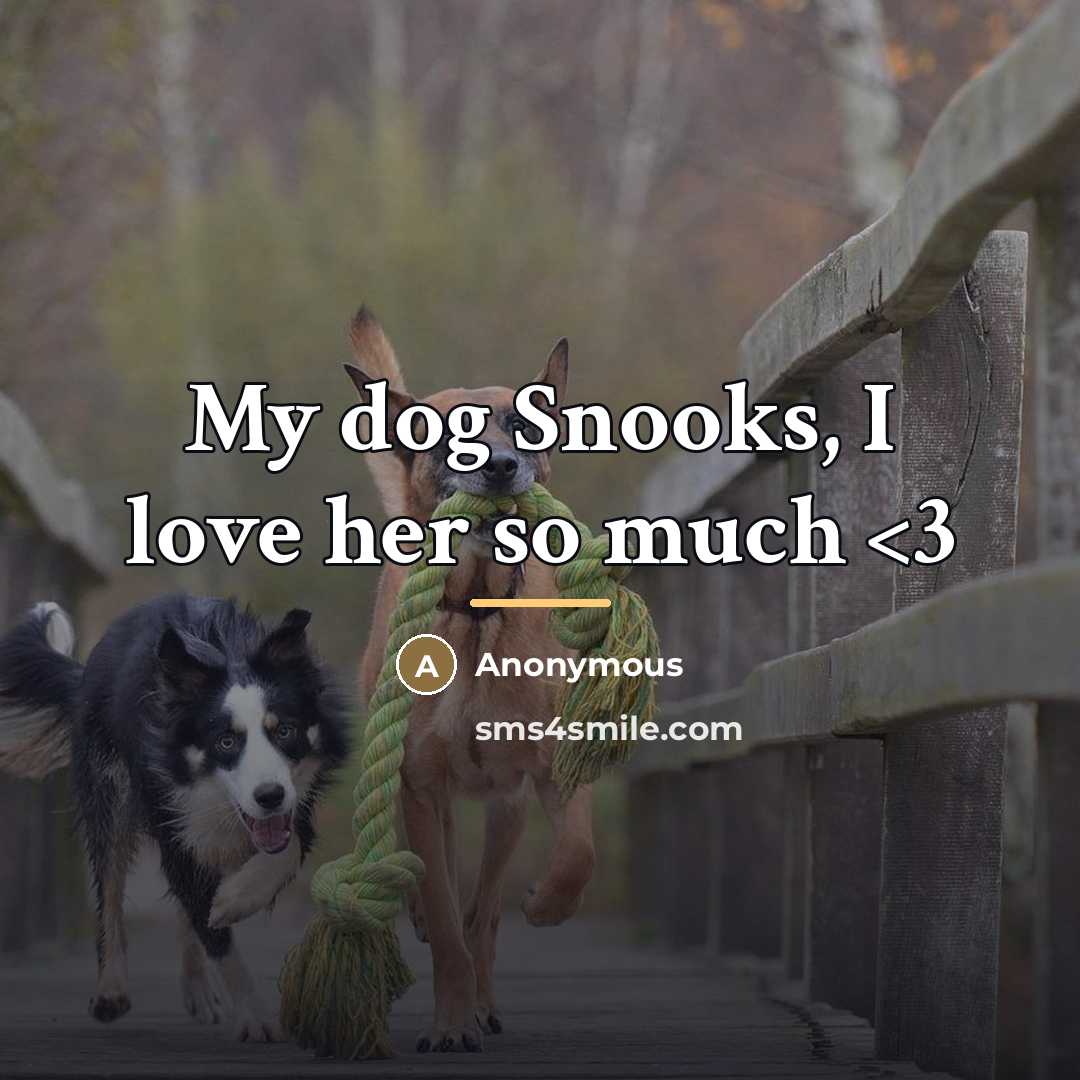 “My dog Snooks, I love her so much…” quote by Anonymous