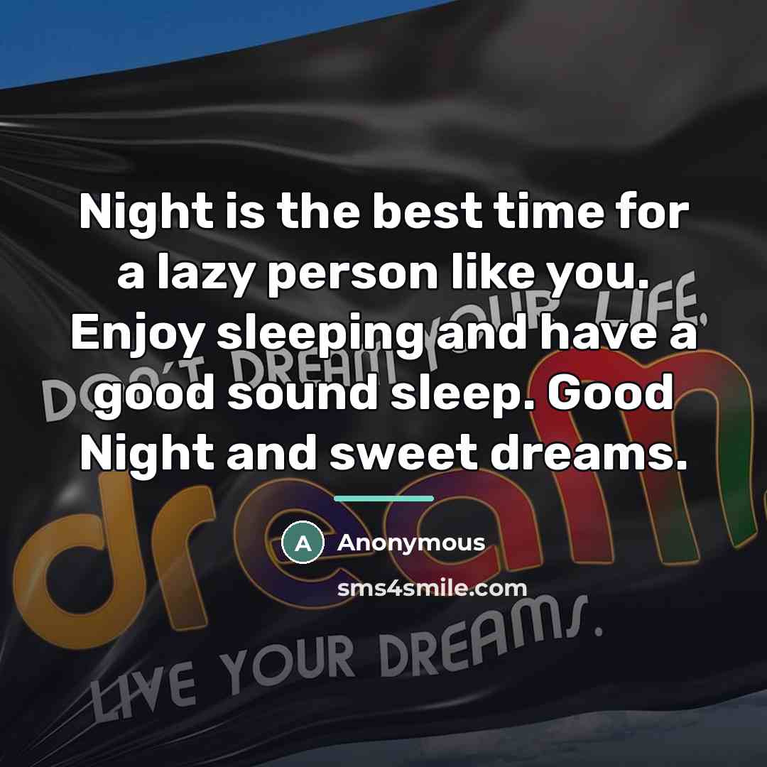 “Night is the best time for a lazy person like…” quote by Anonymous