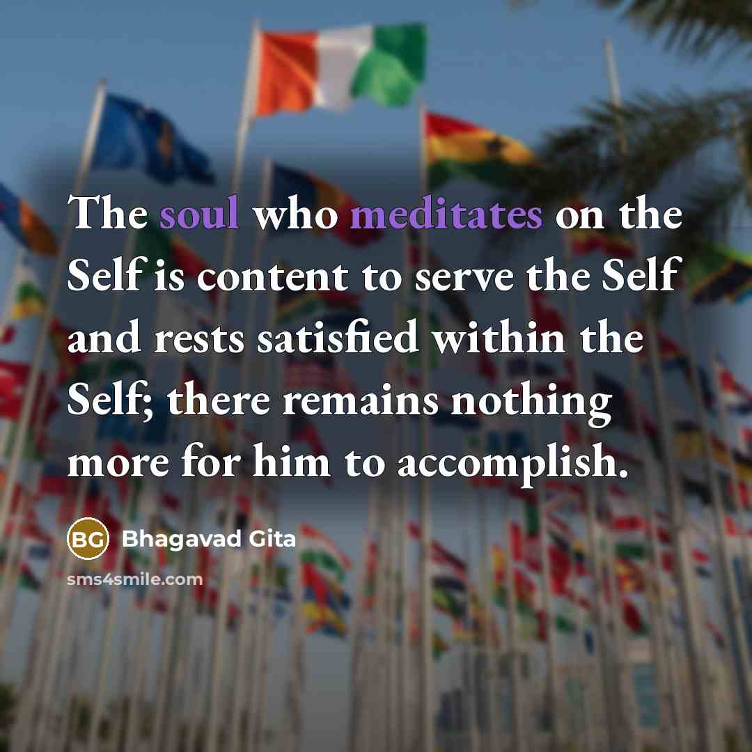 “The soul who meditates on the Self is content to…” quote by Bhagavad Gita