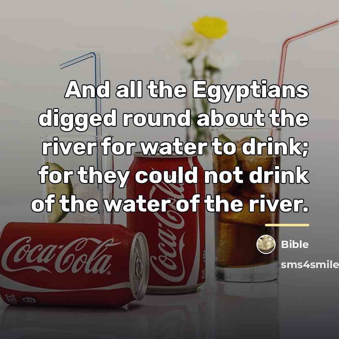 “And all the Egyptians digged round about the river for…” quote by Bible