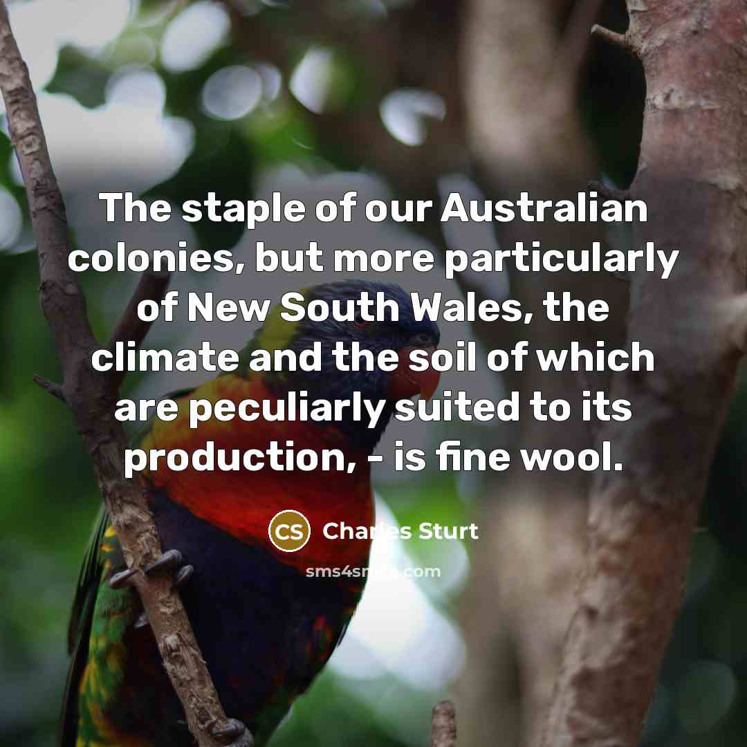 “The staple of our Australian colonies, but more particularly of…” quote by Charles Sturt