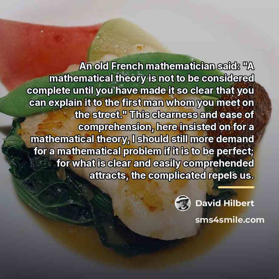 “An old French mathematician said: "A mathematical theory is not…” quote by David Hilbert