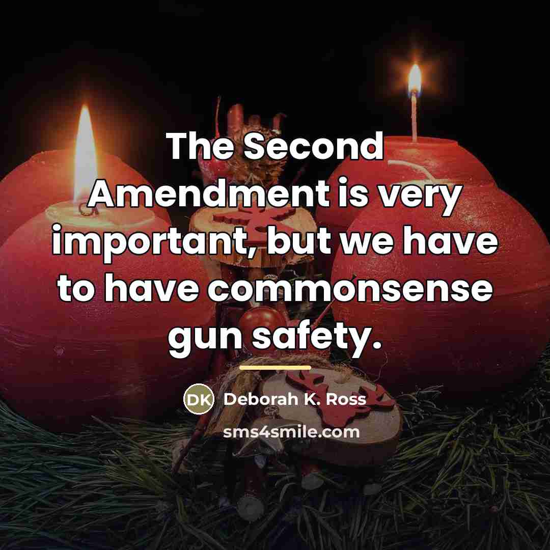 “The Second Amendment is very important, but we have to…” quote by Deborah K. Ross