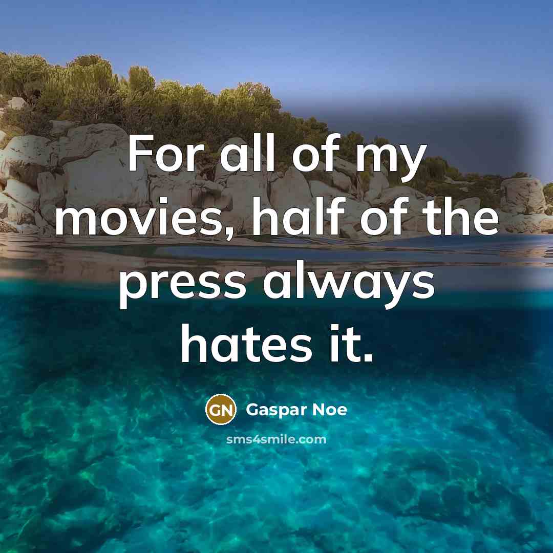 “For all of my movies, half of the press always…” quote by Gaspar Noe