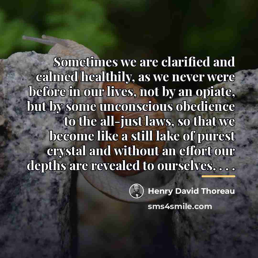 “Sometimes we are clarified and calmed healthily, as we never…” quote by Henry David Thoreau
