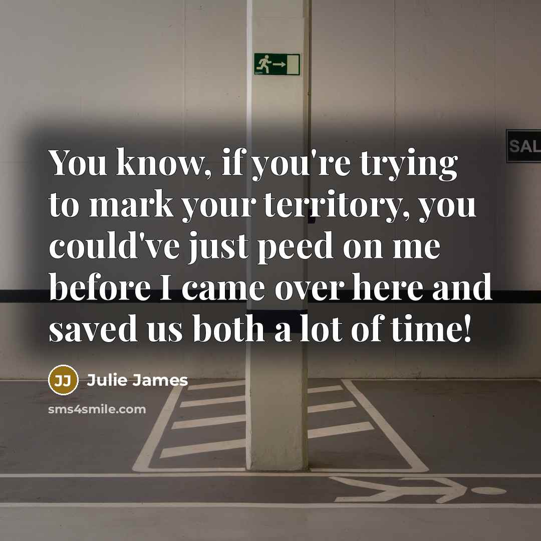 “You know, if you're trying to mark your territory, you…” quote by Julie James