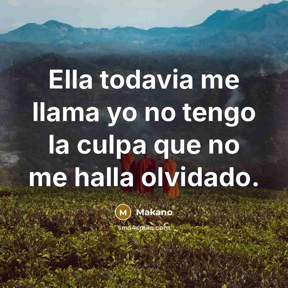 “Ella todavia me llama yo no tengo la culpa que no me halla olvidado.” quote by Makano
