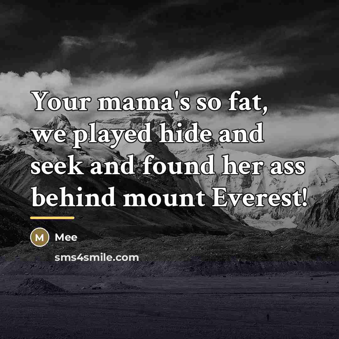 “Your mama's so fat, we played hide and seek and…” quote by Mee