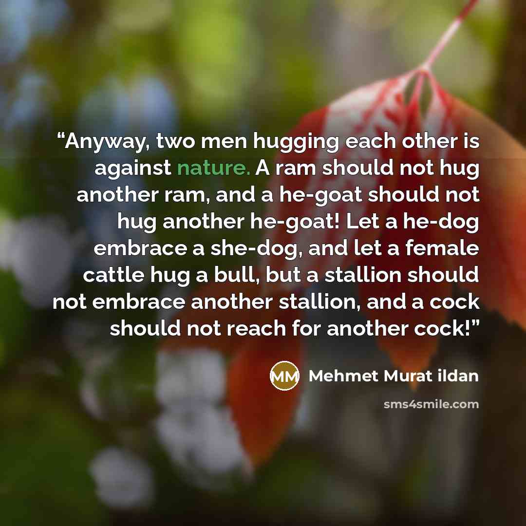 “Anyway, two men hugging each other is against nature. A ram should not hug another ram, and a he-goat should not hug another he-goat! Let a he-dog embrace a she-dog, and let a female cattle hug a bull, but a stallion should not embrace another stallion, and a cock should not reach for another cock!” quote by Mehmet Murat ildan