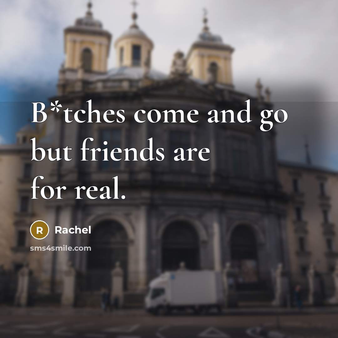 “B*tches come and go but friends are for real.…” quote by Rachel
