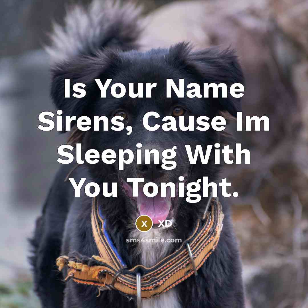 “Is Your Name Sirens, Cause Im Sleeping With You Tonight.…” quote by XD