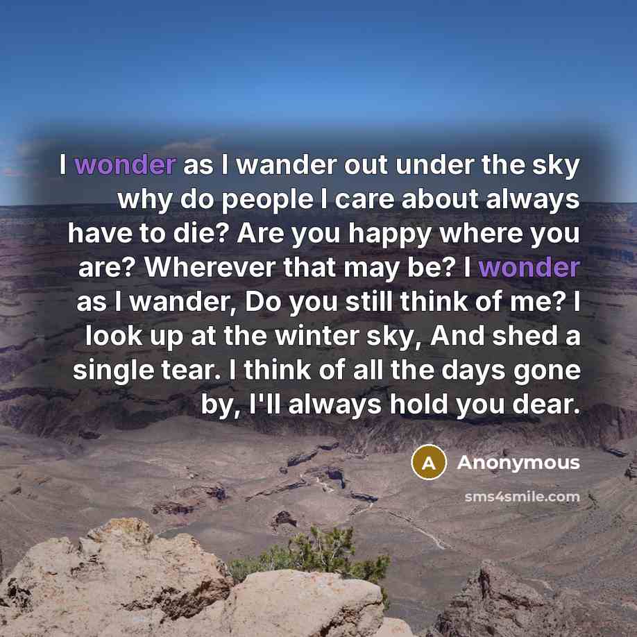 “I wonder as I wander out under the sky why…” quote by Anonymous