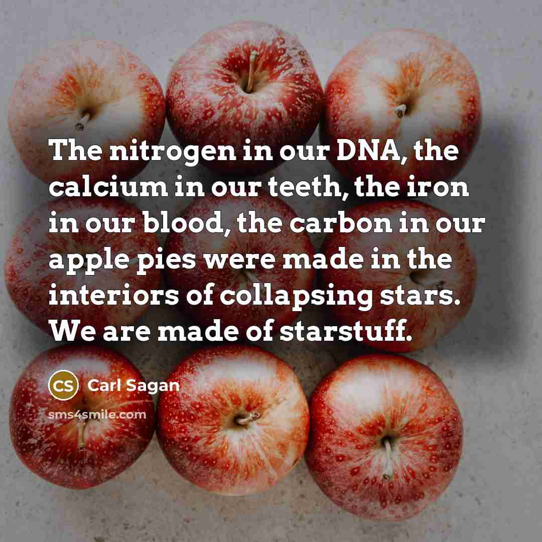 “The nitrogen in our DNA, the calcium in our teeth,…” quote by Carl Sagan