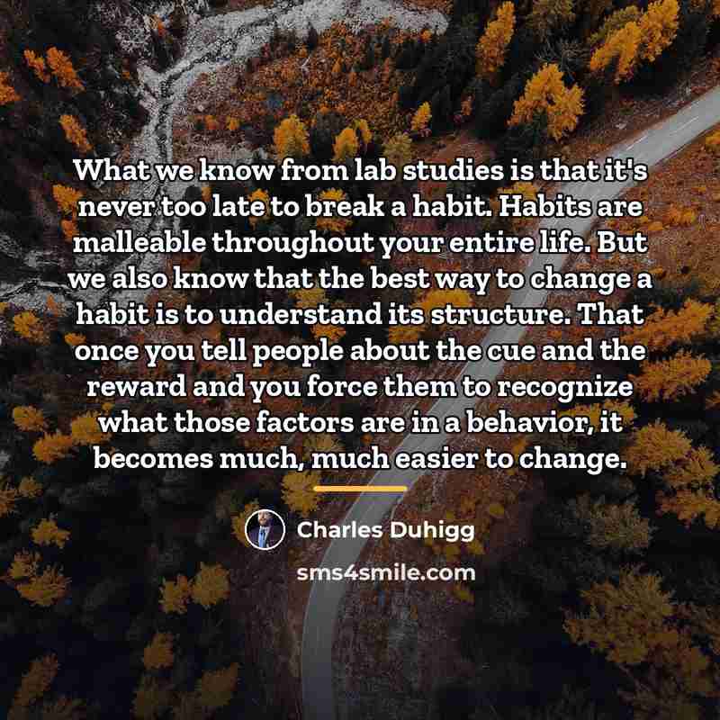 “What we know from lab studies is that it's never…” quote by Charles Duhigg