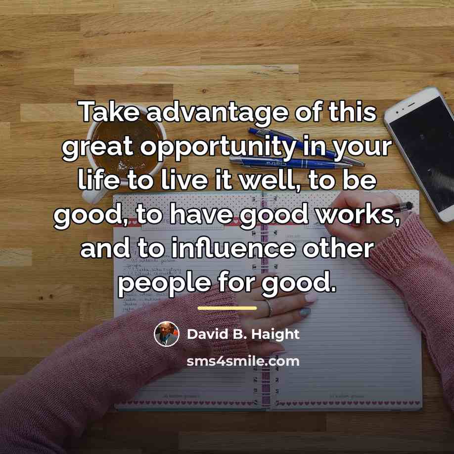 “Take advantage of this great opportunity in your life to…” quote by David B. Haight