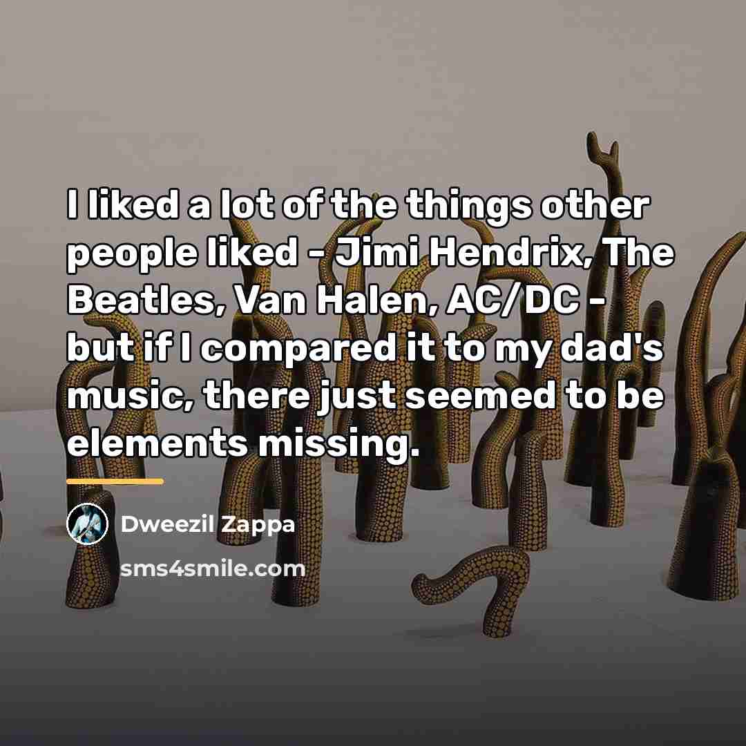 “I liked a lot of the things other people liked…” quote by Dweezil Zappa