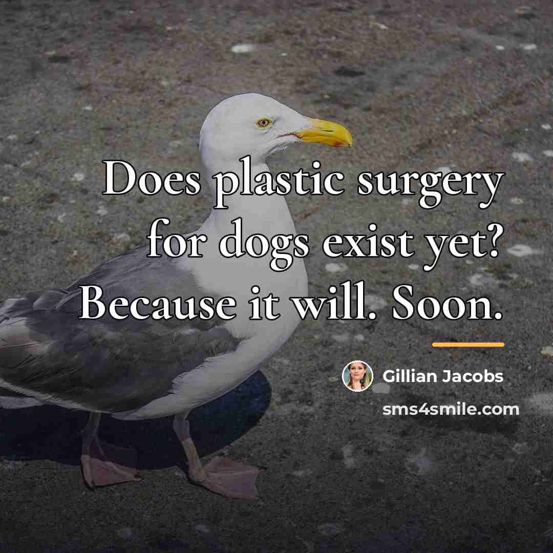 “Does plastic surgery for dogs exist yet? Because it will.…” quote by Gillian Jacobs
