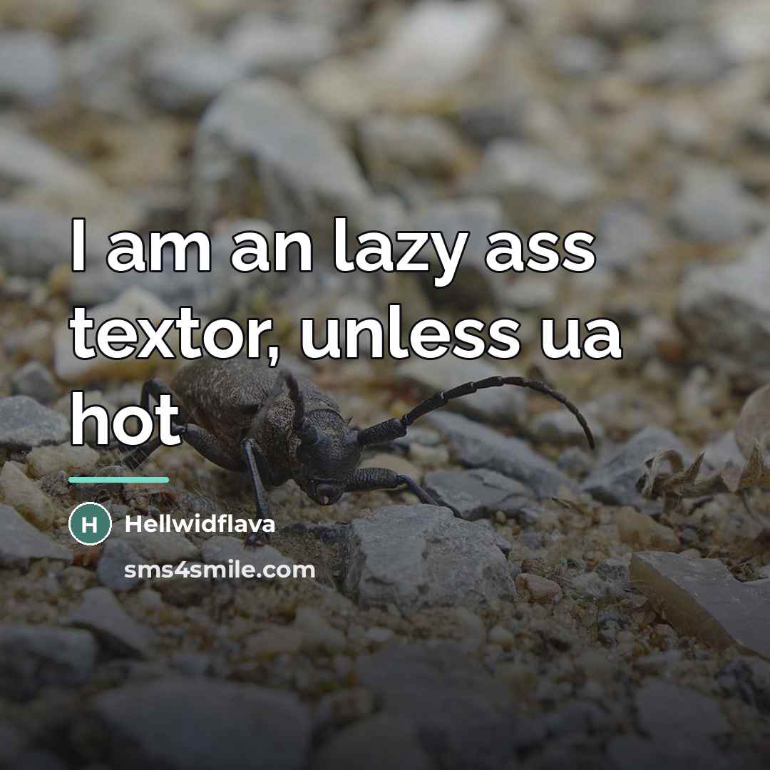 “I am an lazy ass textor, unless ua hot…” quote by Hellwidflava