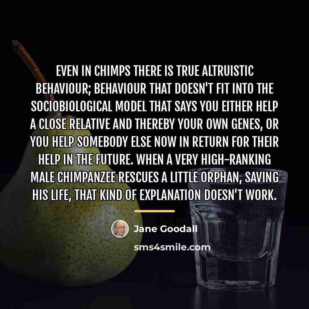 “Even in chimps there is true altruistic behaviour; behaviour that…” quote by Jane Goodall