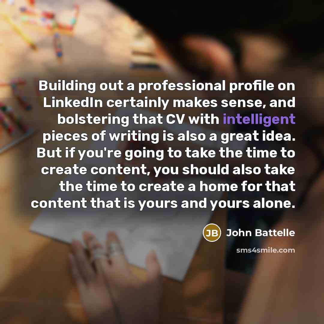 “Building out a professional profile on LinkedIn certainly makes sense,…” quote by John Battelle