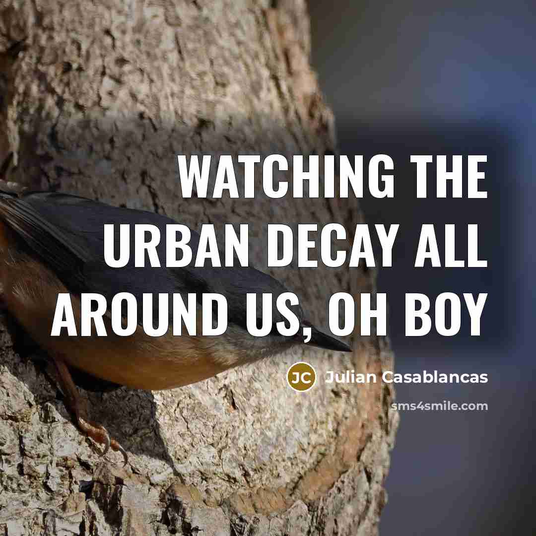 “Watching the urban decay all around us, oh boy…” quote by Julian Casablancas