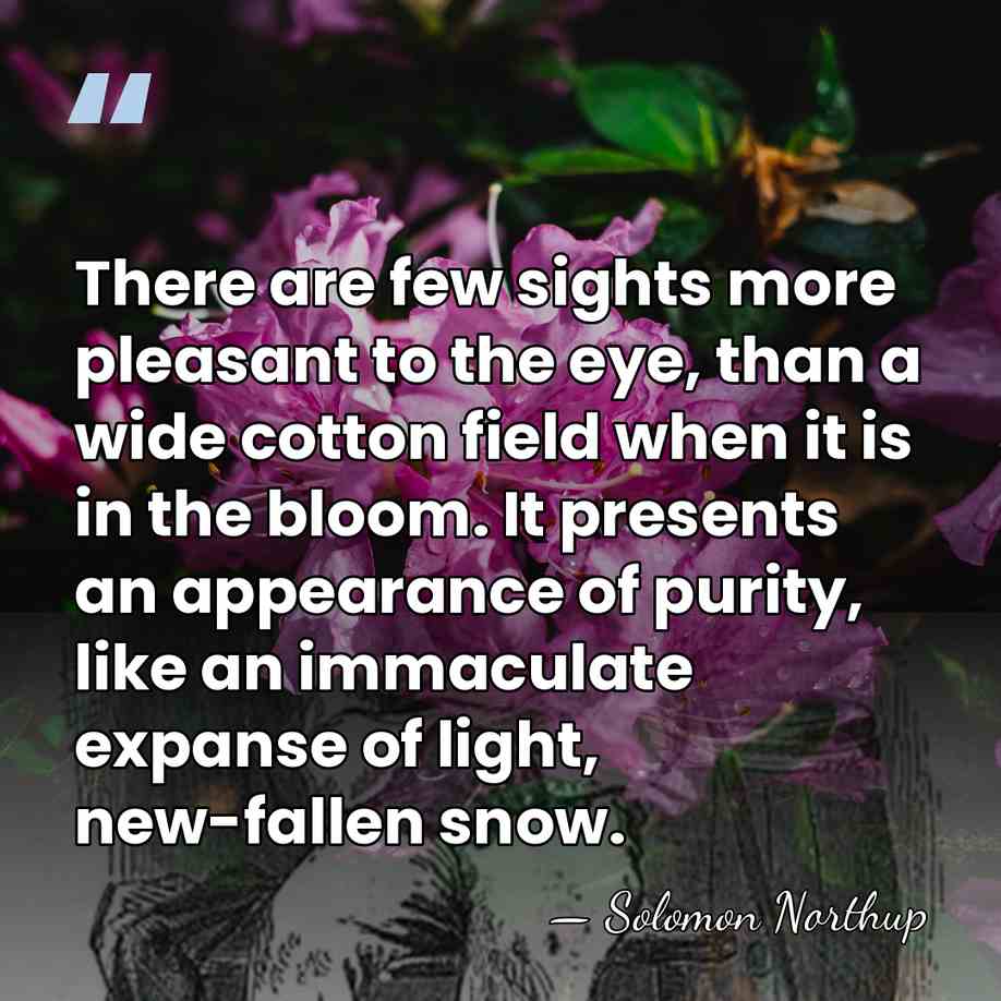 There are few sights more pleasant to the eye, than a wide&hellip; - Solomon Northup
