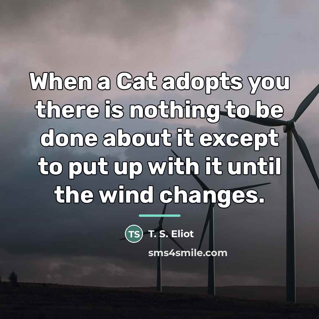 “When a Cat adopts you there is nothing to be…” quote by T. S. Eliot