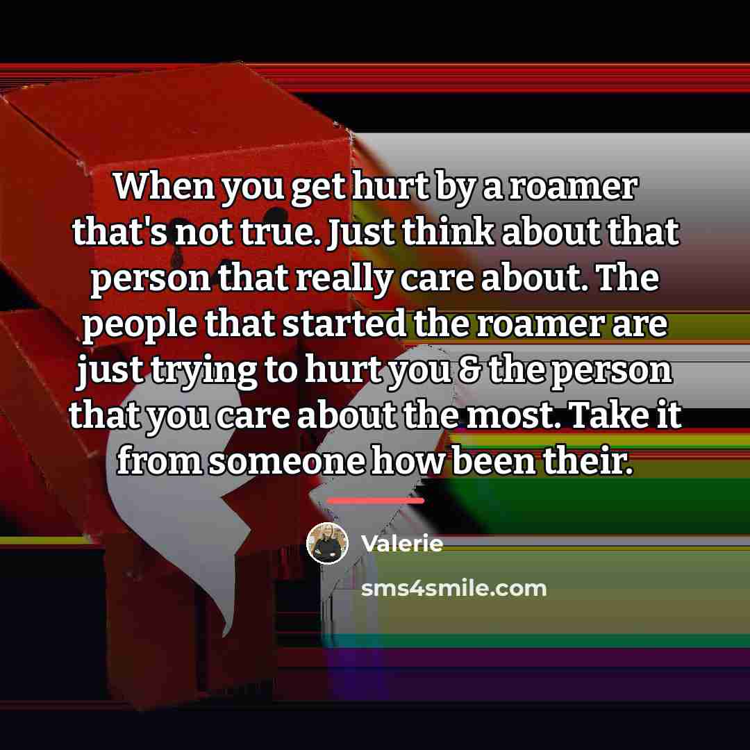 “When you get hurt by a roamer that's not true.…” quote by Valerie