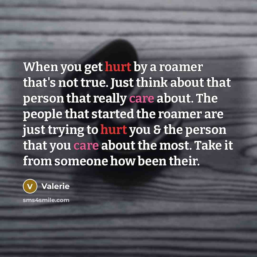 “When you get hurt by a roamer that's not true. Just think about that person that really care about. The people that started the roamer are just trying to hurt you & the person that you care about the most. Take it from someone how been their.” quote by Valerie