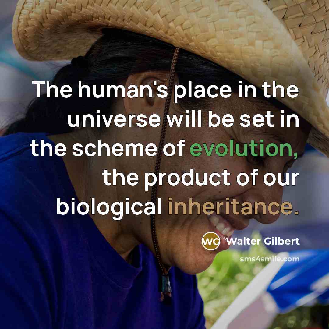 “The human's place in the universe will be set in…” quote by Walter Gilbert