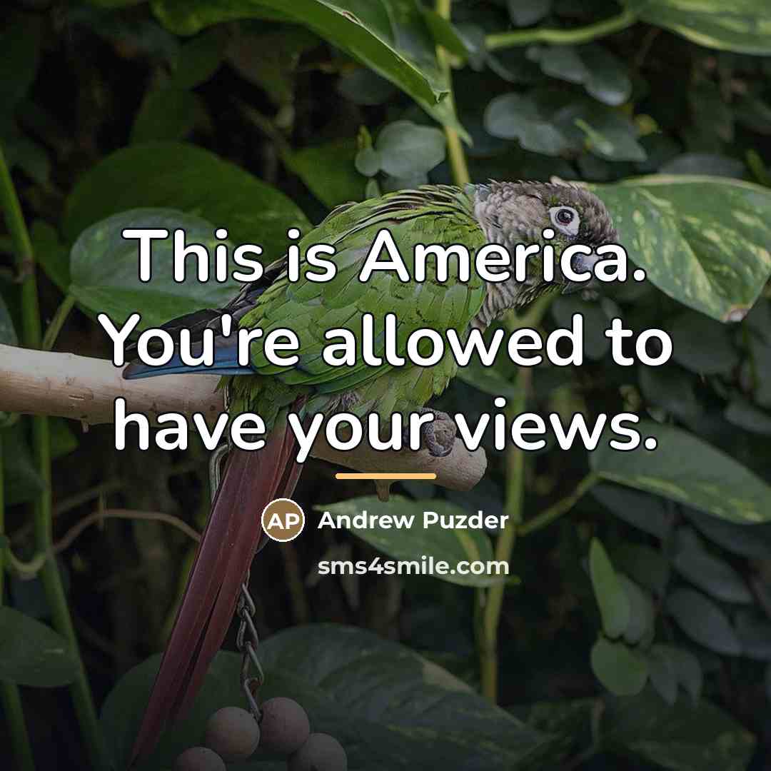 “This is America. You're allowed to have your views.…” quote by Andrew Puzder
