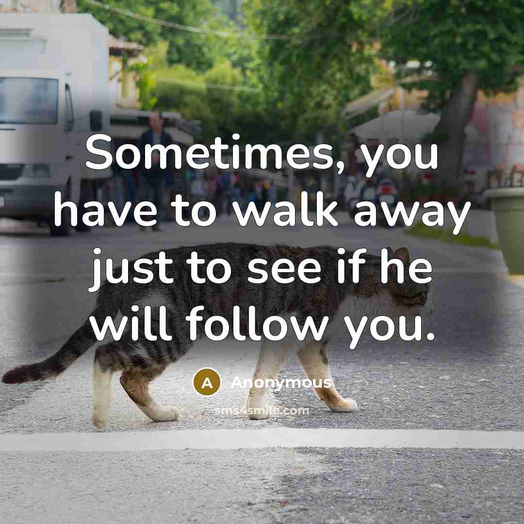 “Sometimes, you have to walk away just to see if he will follow you.” quote by Anonymous