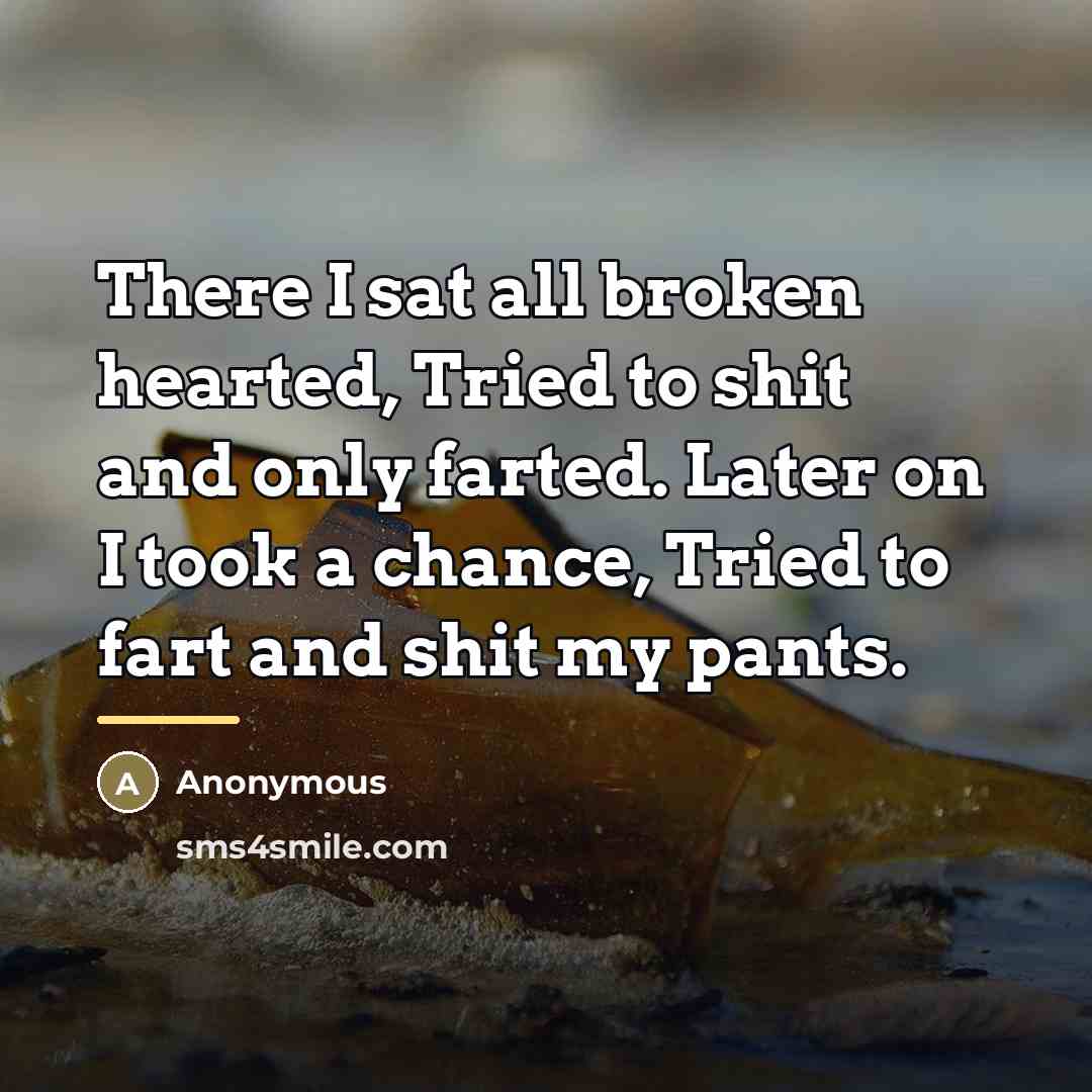 “There I sat all broken hearted, Tried to shit and…” quote by Anonymous