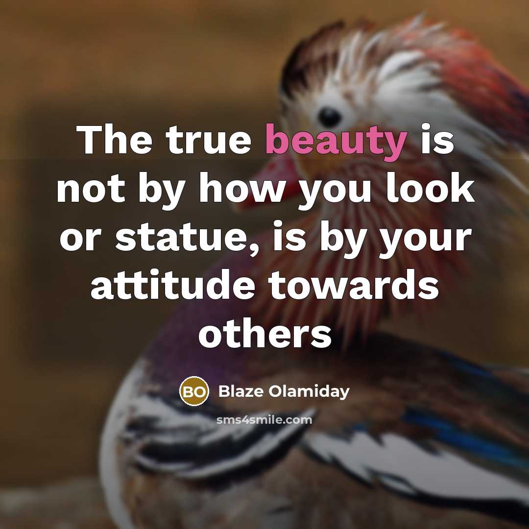 “The true beauty is not by how you look or statue, is by your attitude towards others” quote by Blaze Olamiday