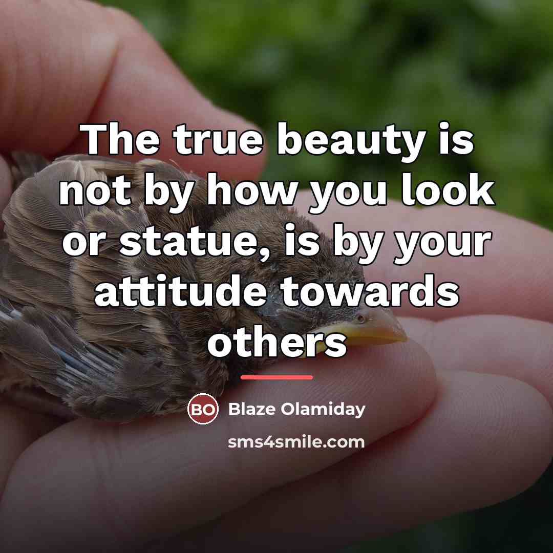 “The true beauty is not by how you look or…” quote by Blaze Olamiday