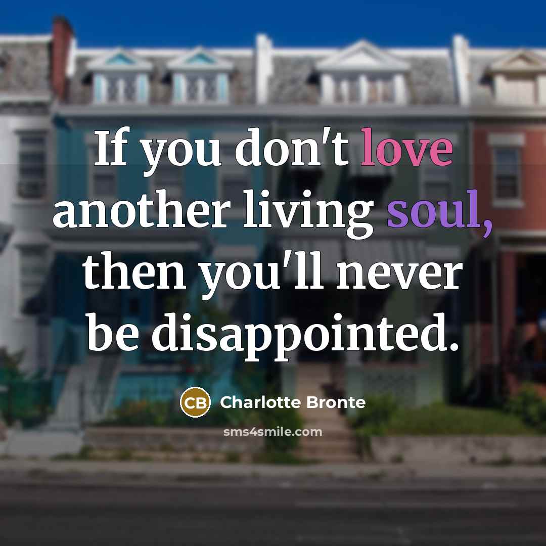 “If you don't love another living soul, then you'll never…” quote by Charlotte Bronte