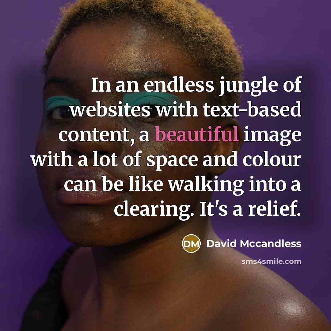 “In an endless jungle of websites with text-based content, a…” quote by David McCandless