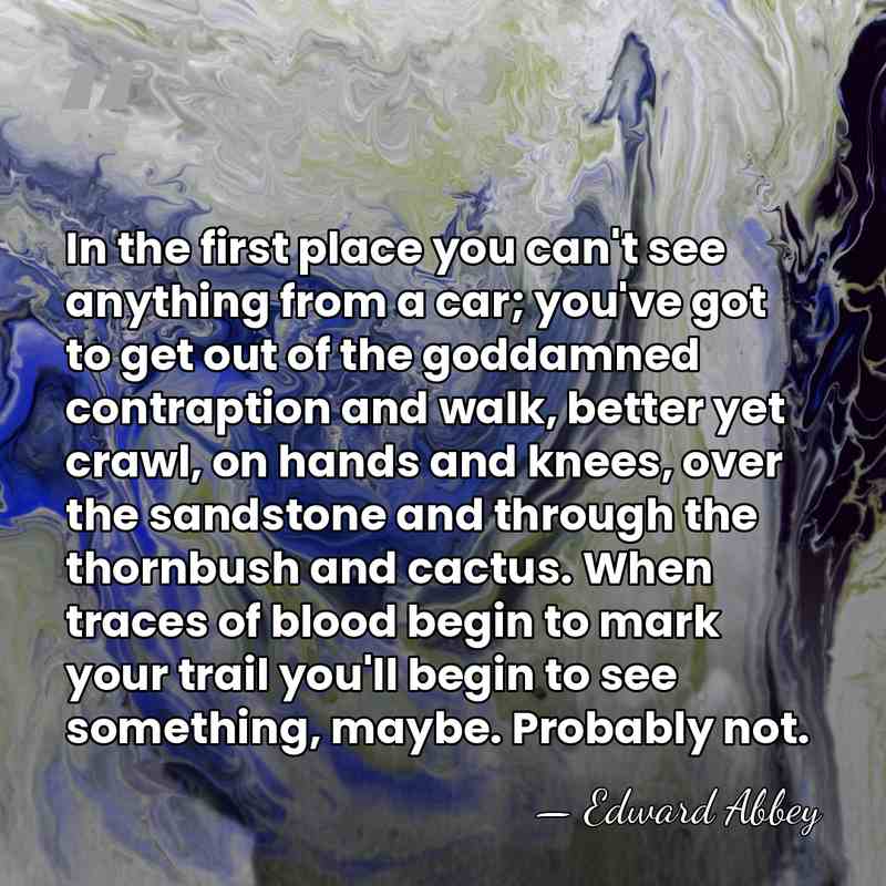 In the first place you can't see anything from a car; you've&hellip; - Edward Abbey