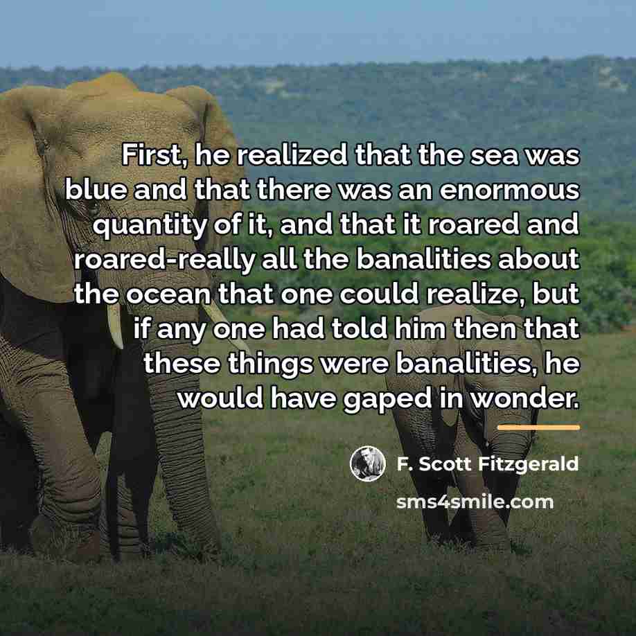“First, he realized that the sea was blue and that…” quote by F. Scott Fitzgerald