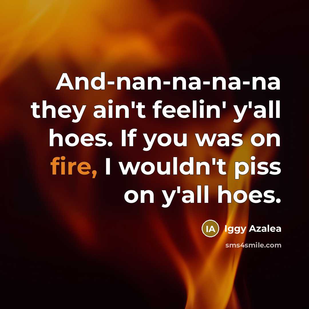 “And-nan-na-na-na they ain't feelin' y'all hoes. If you was on fire, I wouldn't piss on y'all hoes.” quote by Iggy Azalea