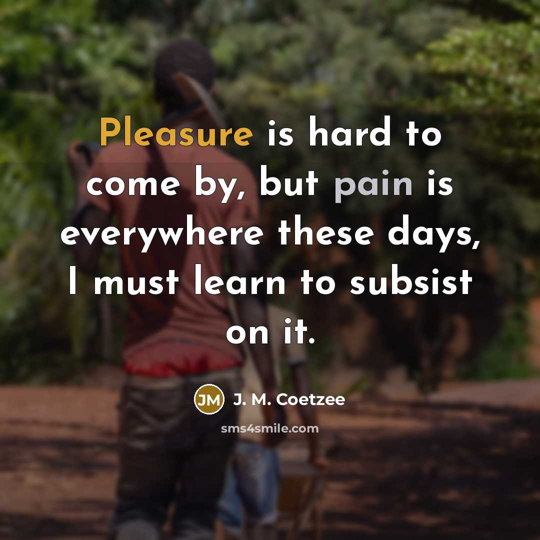 “Pleasure is hard to come by, but pain is everywhere…” quote by J. M. Coetzee