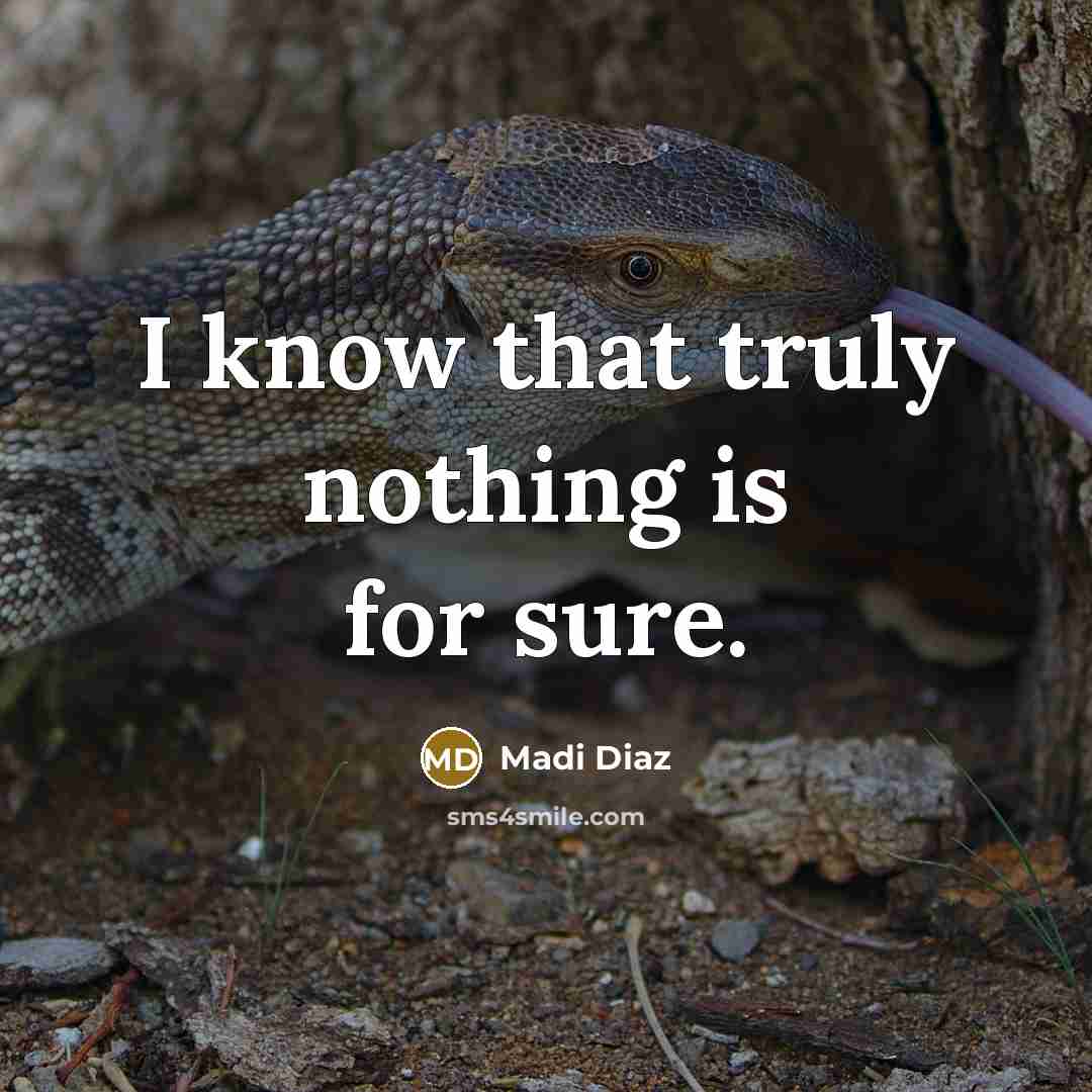 “I know that truly nothing is for sure.” quote by Madi Diaz