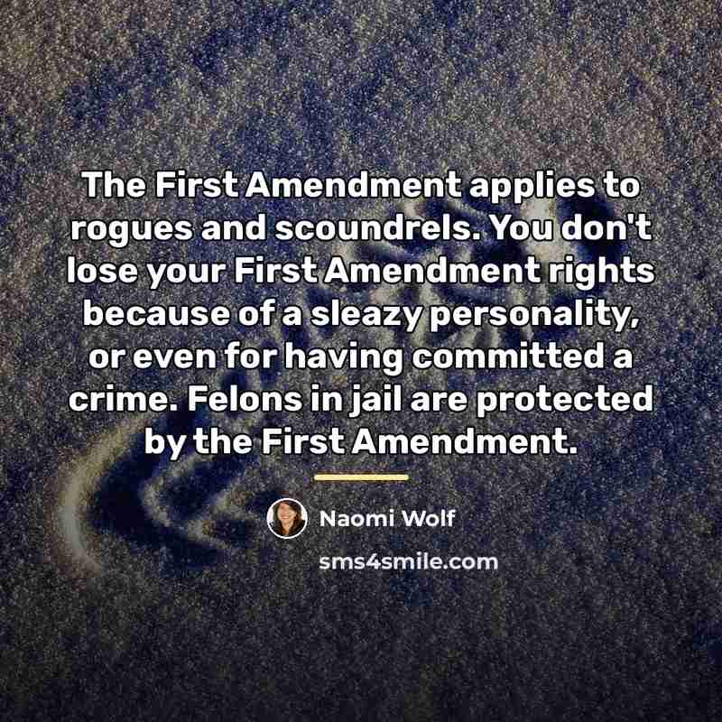 “The First Amendment applies to rogues and scoundrels. You don't…” quote by Naomi Wolf