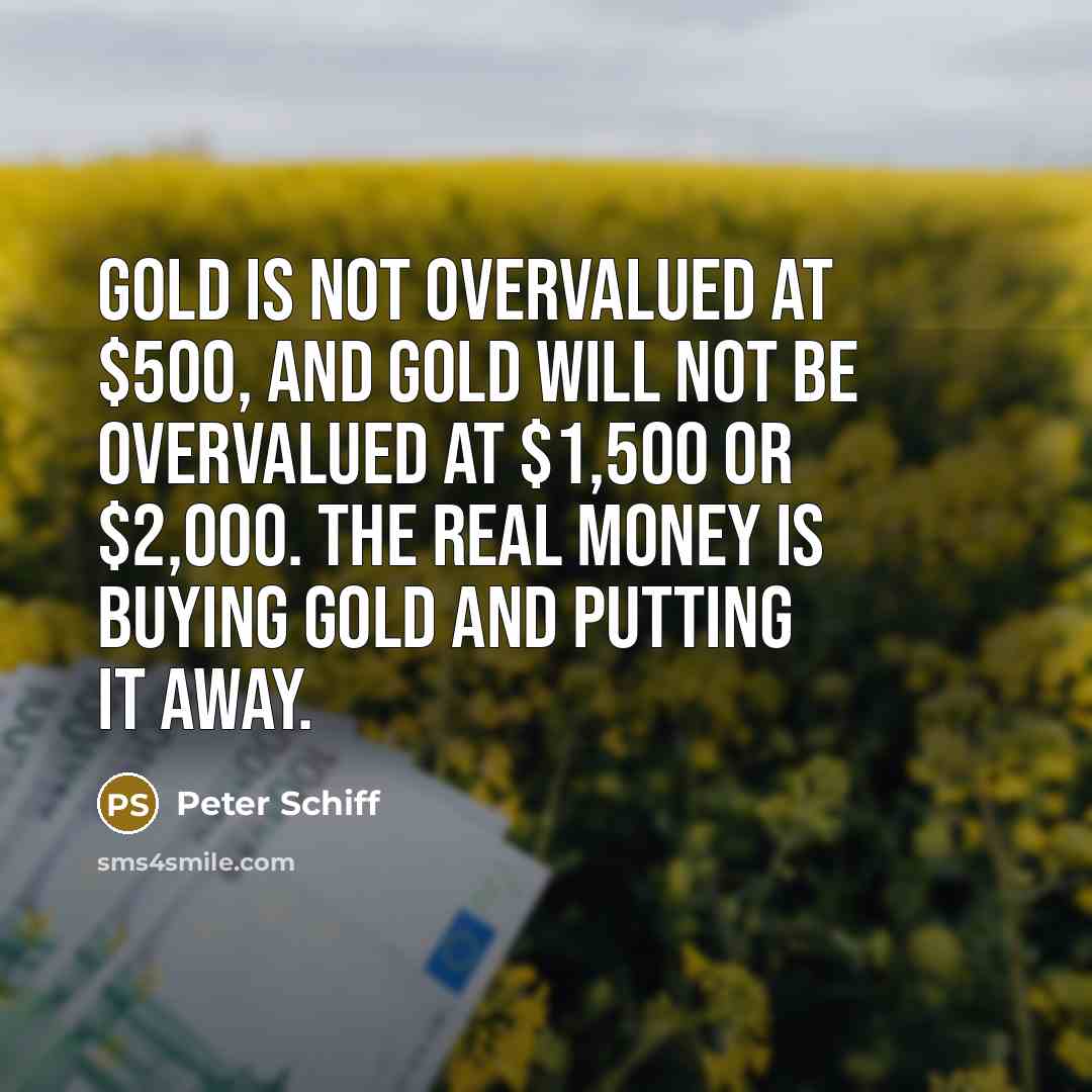 “Gold is not overvalued at $500, and gold will not…” quote by Peter Schiff